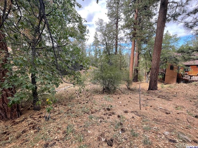 600 Travertine Rd, Big Bear, CA 92314 - photo 2