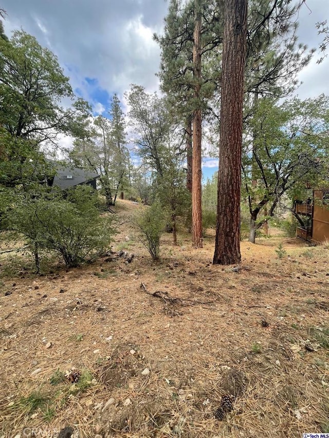 600 Travertine Rd, Big Bear, CA 92314 - photo 6