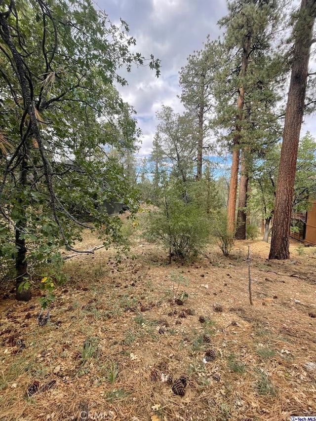 600 Travertine Rd, Big Bear, CA 92314 - photo 7