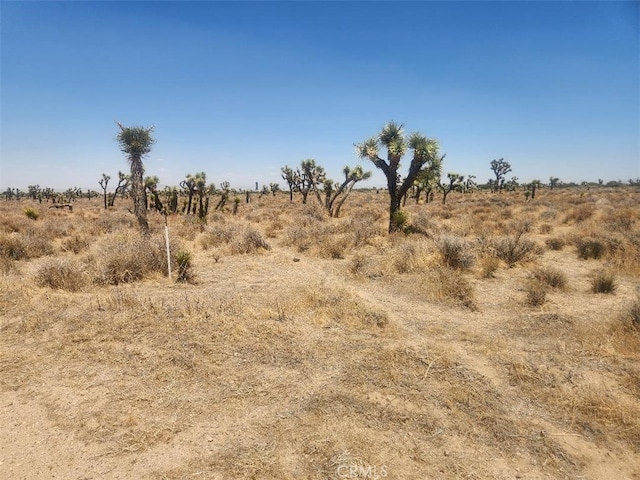 11 Wolf, Phelan, CA 92371
