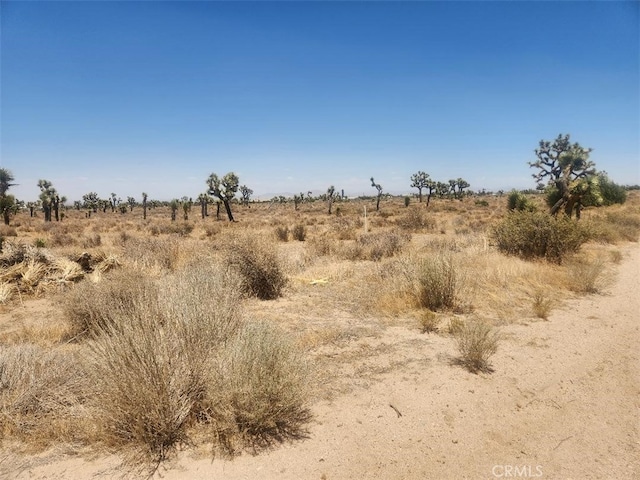 11 Wolf, Phelan, CA 92371