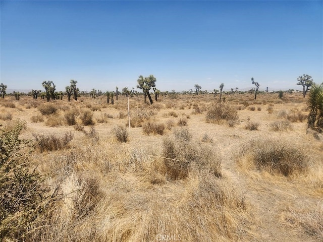 11 Wolf, Phelan, CA 92371