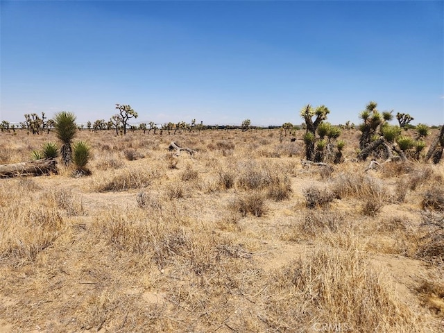 11 Wolf, Phelan, CA 92371