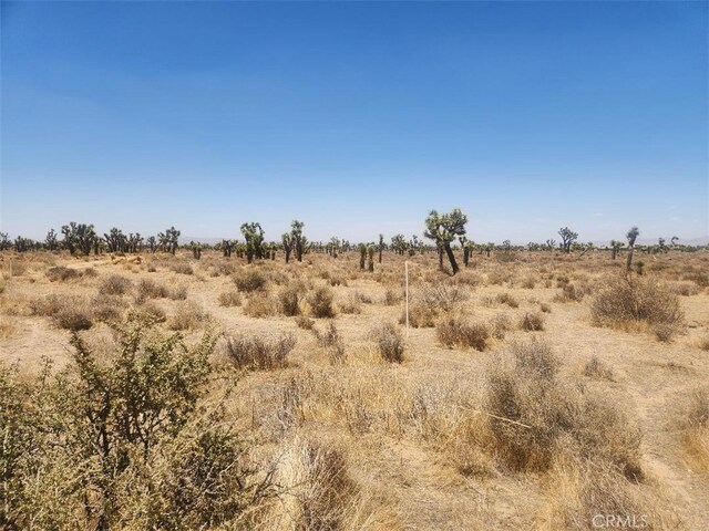 11 Wolf, Phelan, CA 92371