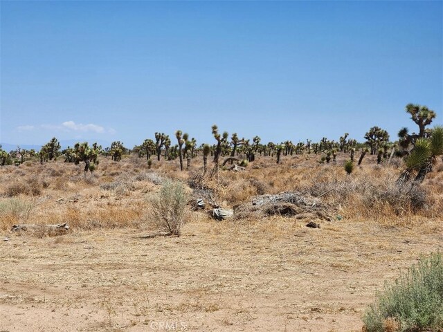 11 Wolf, Phelan, CA 92371