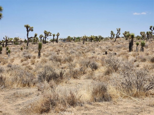 11 Wolf, Phelan, CA 92371