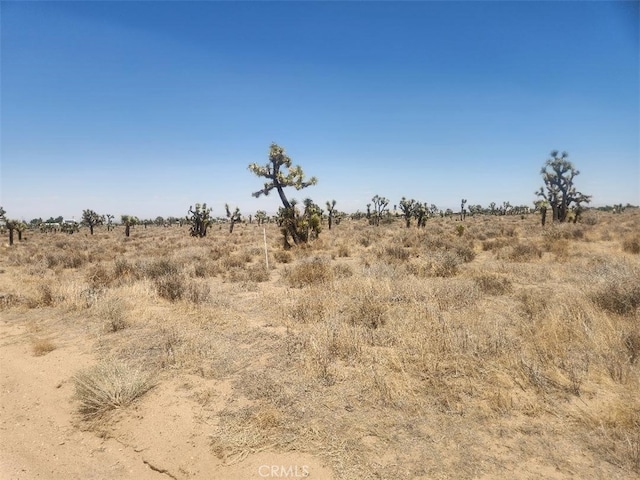 11 Wolf, Phelan, CA 92371