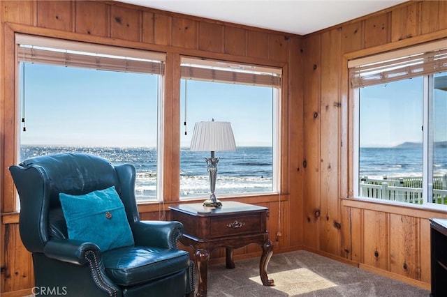 2670 Studio Dr, Cayucos, CA 93430 - photo 6