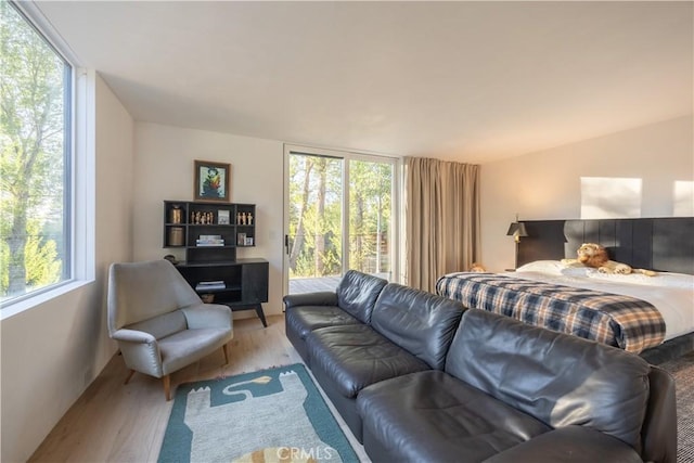 43612 Shasta Rd, Big Bear Lake, CA 92315 - photo 17