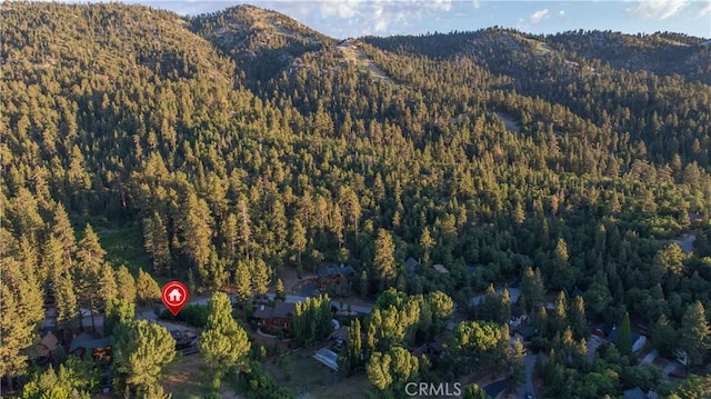 43612 Shasta Rd, Big Bear Lake, CA 92315 - photo 34