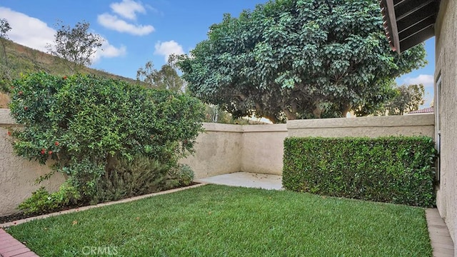 31962 Via Montura, San Juan Capistrano, CA 92675 - photo 41
