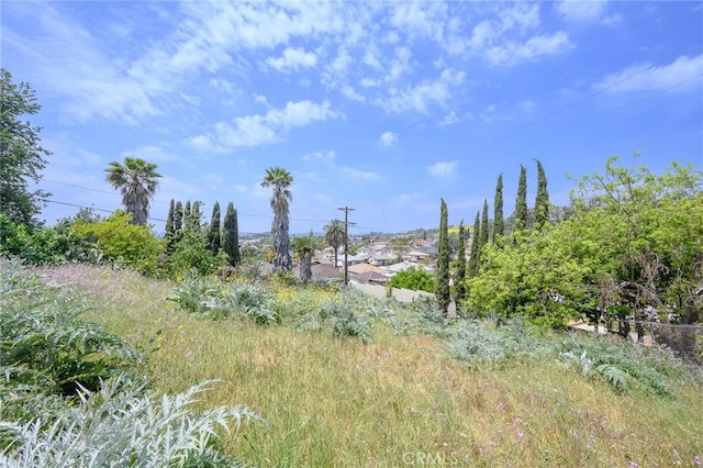 4548 Jade St, Los Angeles, CA 90032 - view of local wilderness