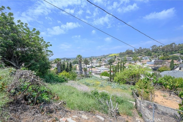 4548 Jade St, Los Angeles, CA 90032 - view of nature
