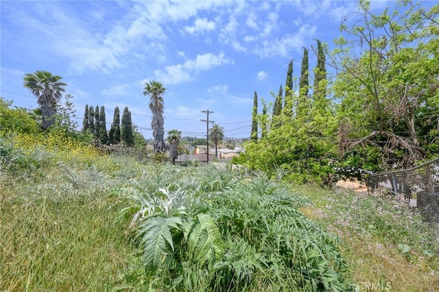 4548 Jade St, Los Angeles, CA 90032 - view of local wilderness