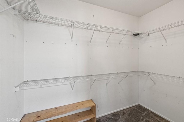 11317 Riverleaf Dr, Riverside, CA 92505 - walk in closet featuring carpet floors
