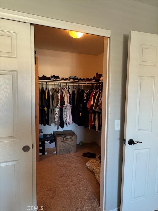 32555 Via Perales, Temecula, CA 92592 - walk in closet featuring carpet floors