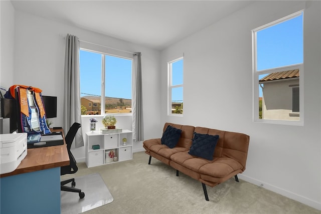 26149 Park Ave Unit 38, Loma Linda, CA 92354 - office area with carpet