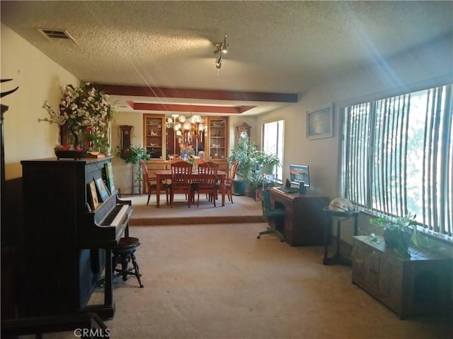 2390 Trinity Rd, Pinon Hills, CA 92372 - living area featuring carpet floors, a textured ceiling, and a chandelier