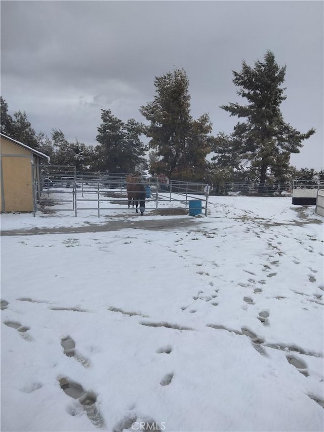 2390 Trinity Rd, Pinon Hills, CA 92372 - view of snowy yard