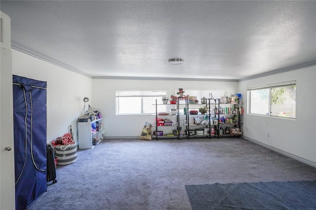 18934 San Bernardino Ave, Bloomington, CA 92316 - recreation room with crown molding, plenty of natural light, a textured ceiling, and carpet floors