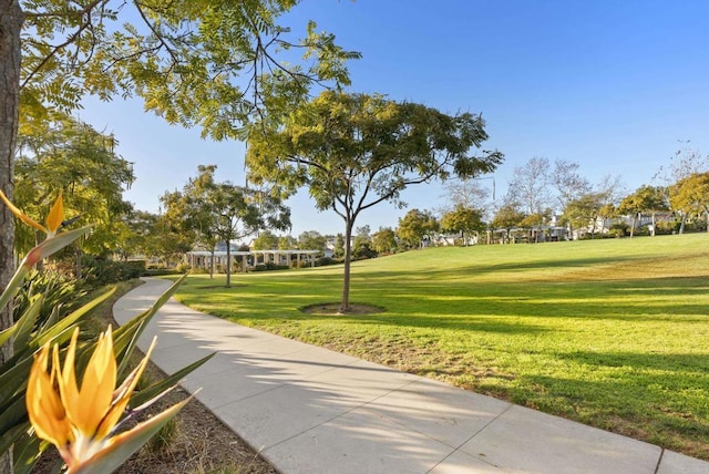 6257 Alverton, Carlsbad, CA 92009 - view of home's community featuring a yard