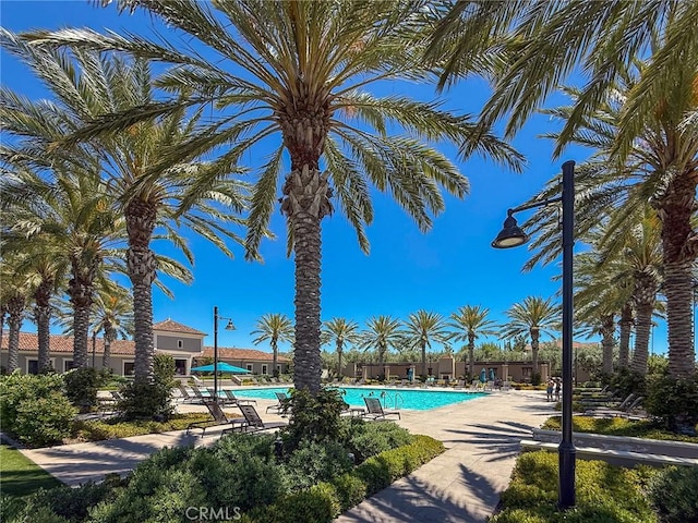 142 Dolci, Irvine, CA 92602 - photo 70