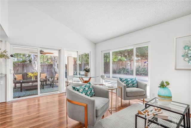 5022 Tamarack Way, Irvine, CA 92612 - living room featuring wood finished floors, a textured ceiling, and lofted ceiling