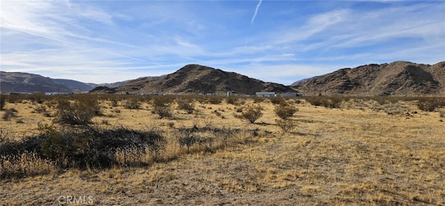 18066 Barstow Rd, Lucerne Valley, CA 92356 - photo 9