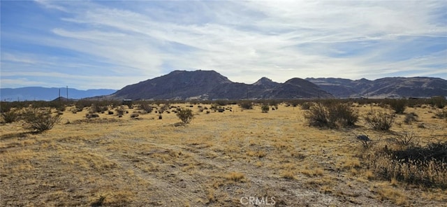 18066 Barstow Rd, Lucerne Valley, CA 92356 - photo 2