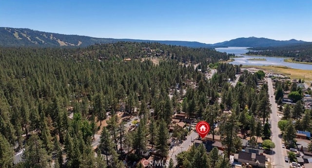 905 W Aeroplane Blvd, Big Bear City, CA 92314 - photo 4