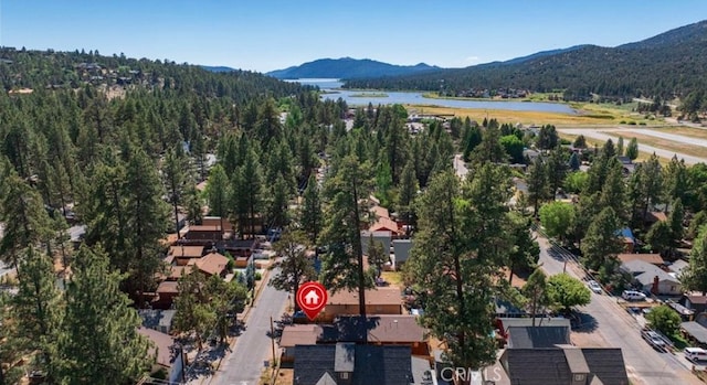 905 W Aeroplane Blvd, Big Bear City, CA 92314 - photo 3