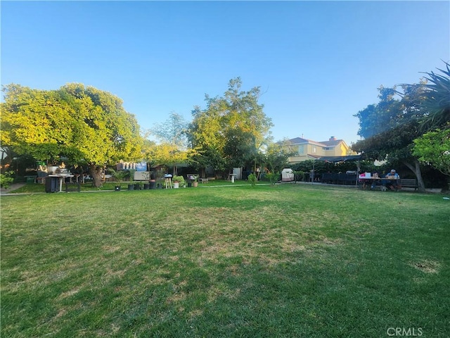 12138 Magnolia St, El Monte, CA 91732 - view of grassy yard