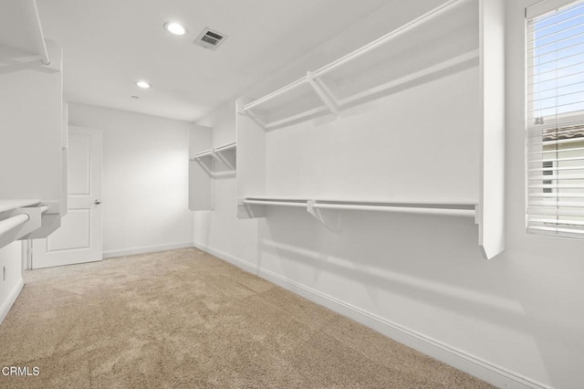 5000 Terramar Way, Oxnard, CA 93035 - walk in closet featuring carpet floors