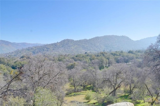 28060 Carlyle Springs Rd, Keene, CA 93531 - photo 2