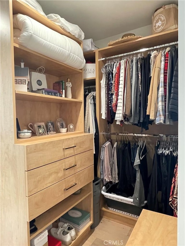 1158 S Westlake Blvd Unit D, Westlake Village, CA 91361 - view of spacious closet