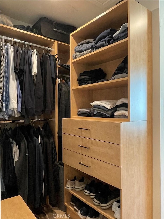 1158 S Westlake Blvd Unit D, Westlake Village, CA 91361 - view of walk in closet