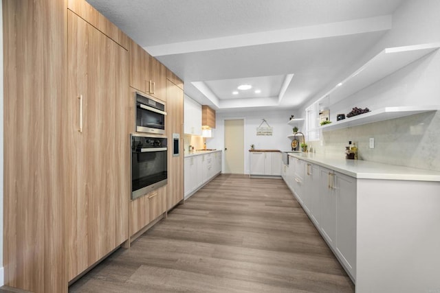 1026 Eucalyptus Ave, Vista, CA 92084 - kitchen featuring open shelves, a raised ceiling, light wood-style floors, light countertops, and modern cabinets