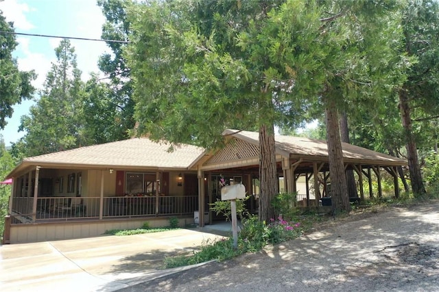 52854 Balsam Dr, Oakhurst, CA 93644 - photo 33