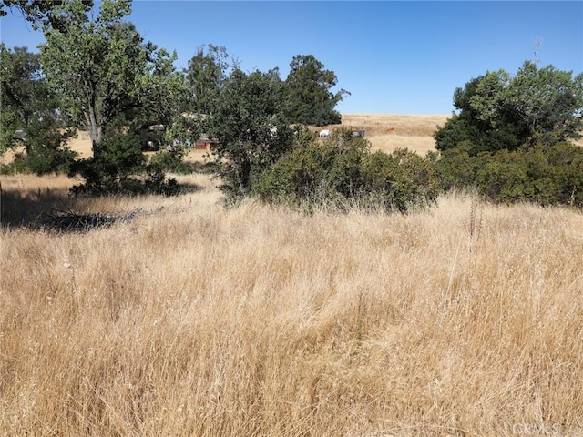 7538 Lake St, Nice, CA 95464 - photo 6
