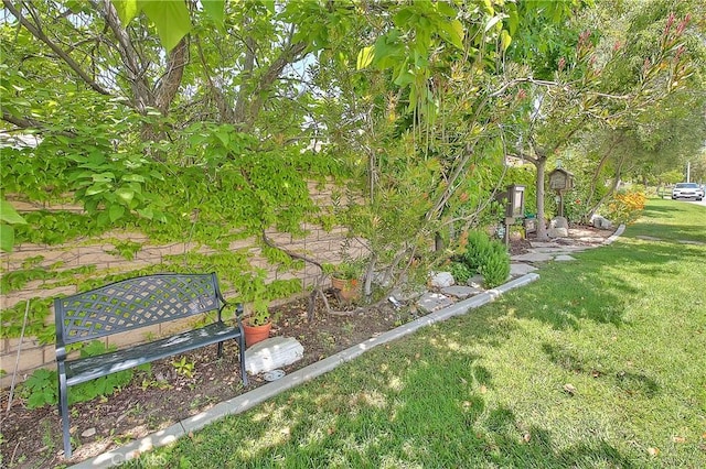 6236 Ashton Pl, Rancho Cucamonga, CA 91739 - view of green lawn
