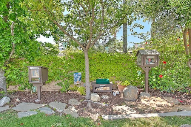6236 Ashton Pl, Rancho Cucamonga, CA 91739 - view of yard