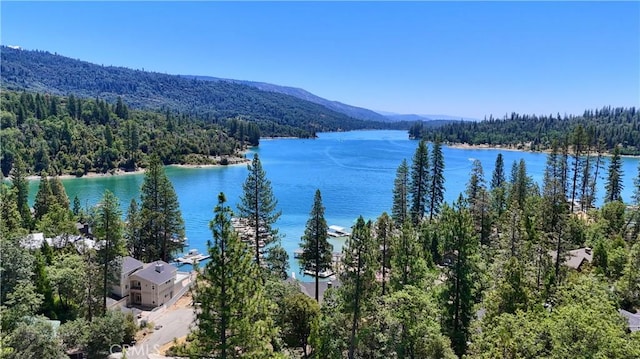 54740 Willow Cv, Bass Lake, CA 93604 - photo 55