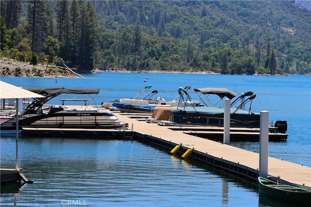 54740 Willow Cv, Bass Lake, CA 93604 - photo 57