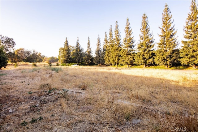 10680 Player Ln, Chico, CA 95928 - photo 6