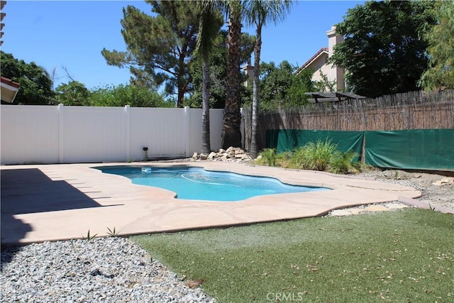 1848 Cascadian Way, San Jacinto, CA 92583 - view of pool featuring a fenced backyard and a patio area