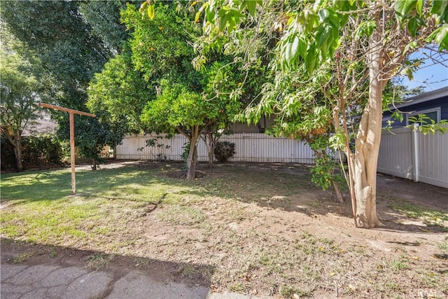 16005 Wyandotte St, Lake Balboa, CA 91406 - photo 28