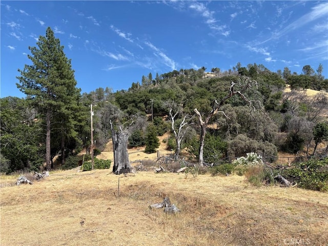 407 Simmons Rd, Oroville, CA 95966 - photo 11