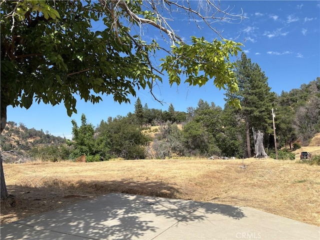 407 Simmons Rd, Oroville, CA 95966 - photo 10
