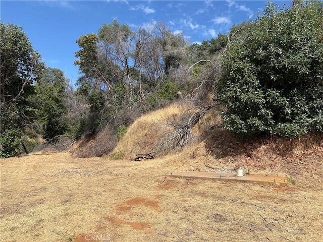 407 Simmons Rd, Oroville, CA 95966 - photo 6