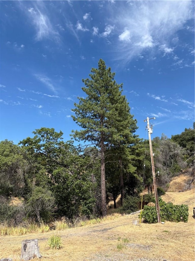 407 Simmons Rd, Oroville, CA 95966 - photo 13